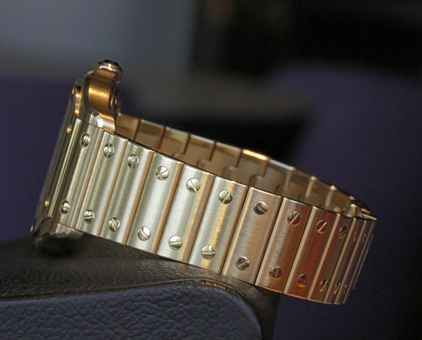 Cartier Santos WGSA0030