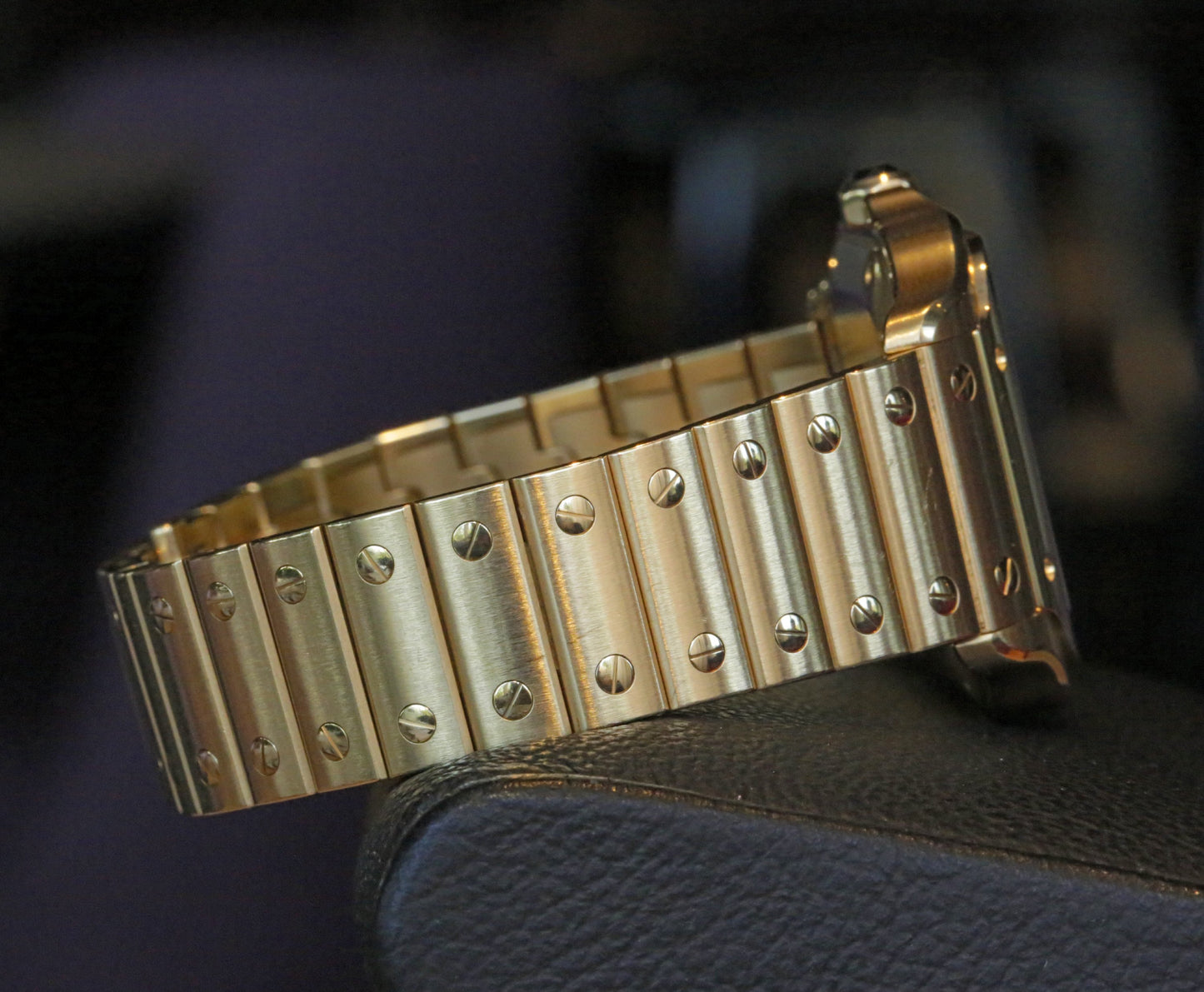 Cartier Santos WGSA0030