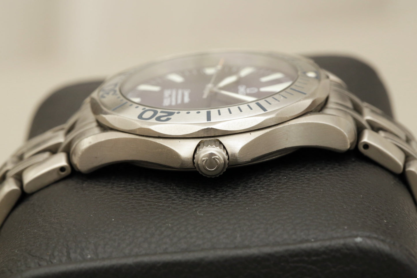 Omega Seamaster Professional Titanium