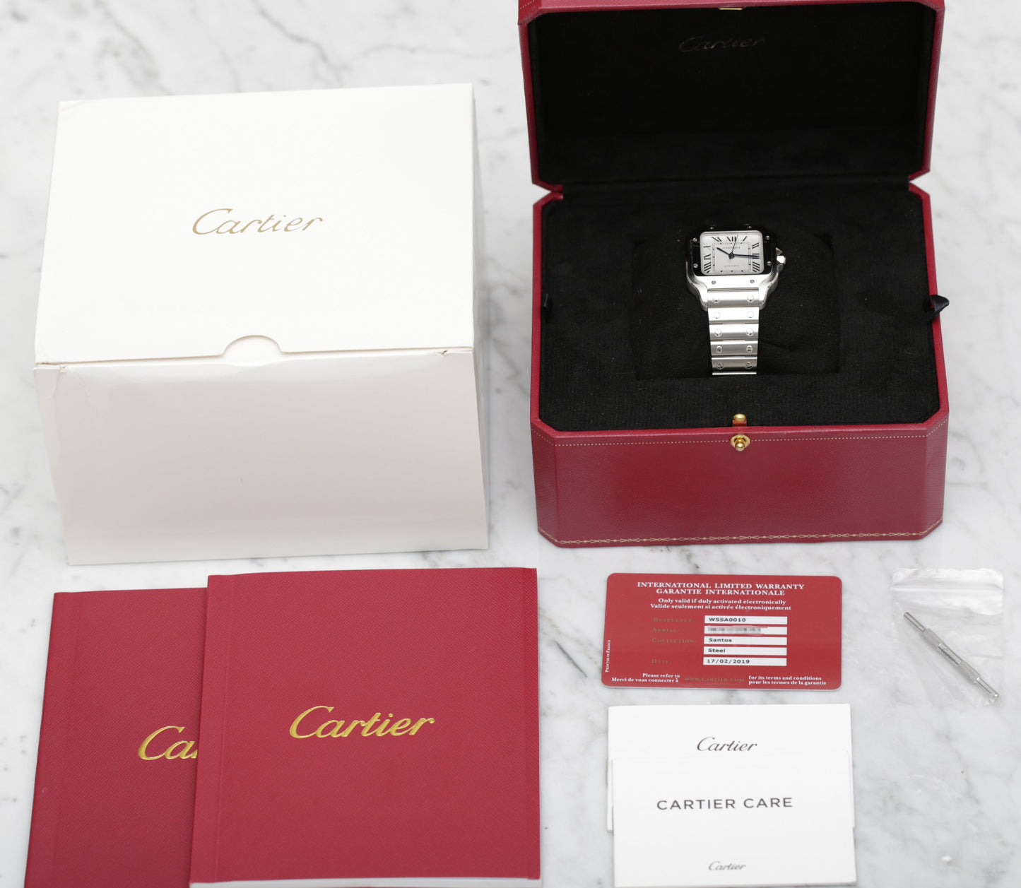 Cartier Santos Medium WSSA0010